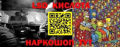 трава Сланцы