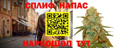 бошки Славянск-на-Кубани