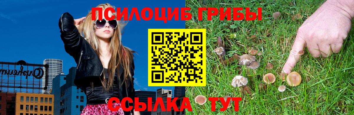 Псилоцибиновые грибы Psilocybine cubensis  Галлюциногенные грибы Psilocybine cubensis  Отрадный  Вход с VPN 